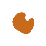 focus_taps_a_mida_icon_150x150