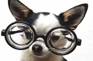 graduacio-elevada-lents-de-contacte-contactologia-optica-focus-piera